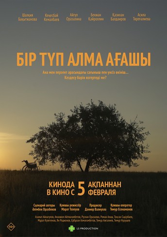 Постер релиза Бiр түп алма ағашы